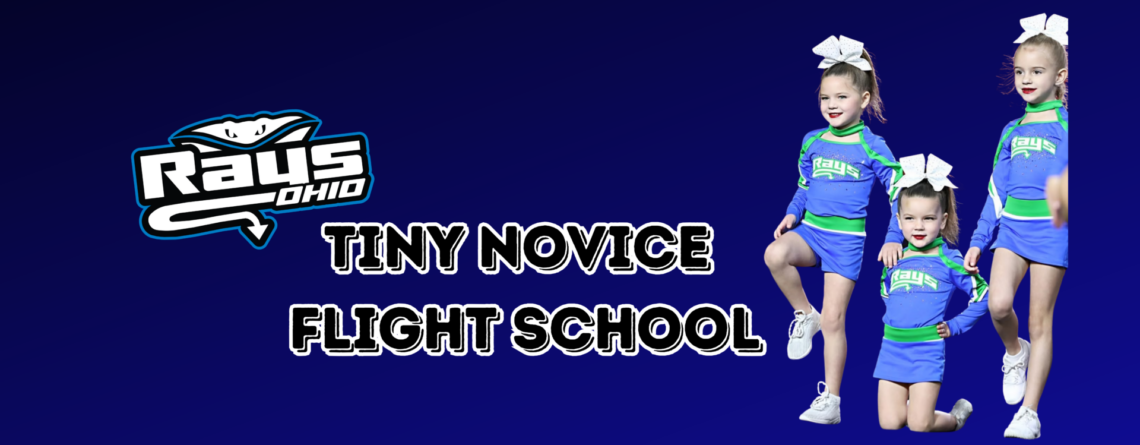 Tiny Novice Flight School – Now Enrolling!